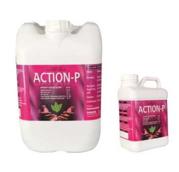 Action-P 5-25-5 NPK Sıvı Gübre Çözeltisi 5 Lt