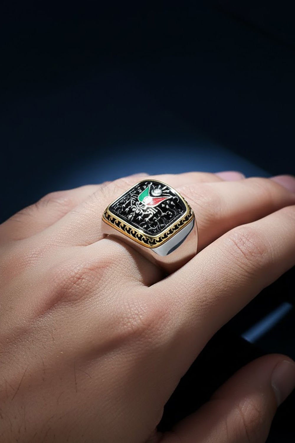 Sade Model Devlet Armalı Taşsız Gümüş Yüzük