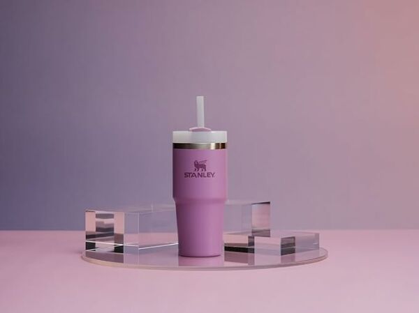 Stanley The Quencher H2.O FlowState Pipetli Termos Bardak 0,41 Lila