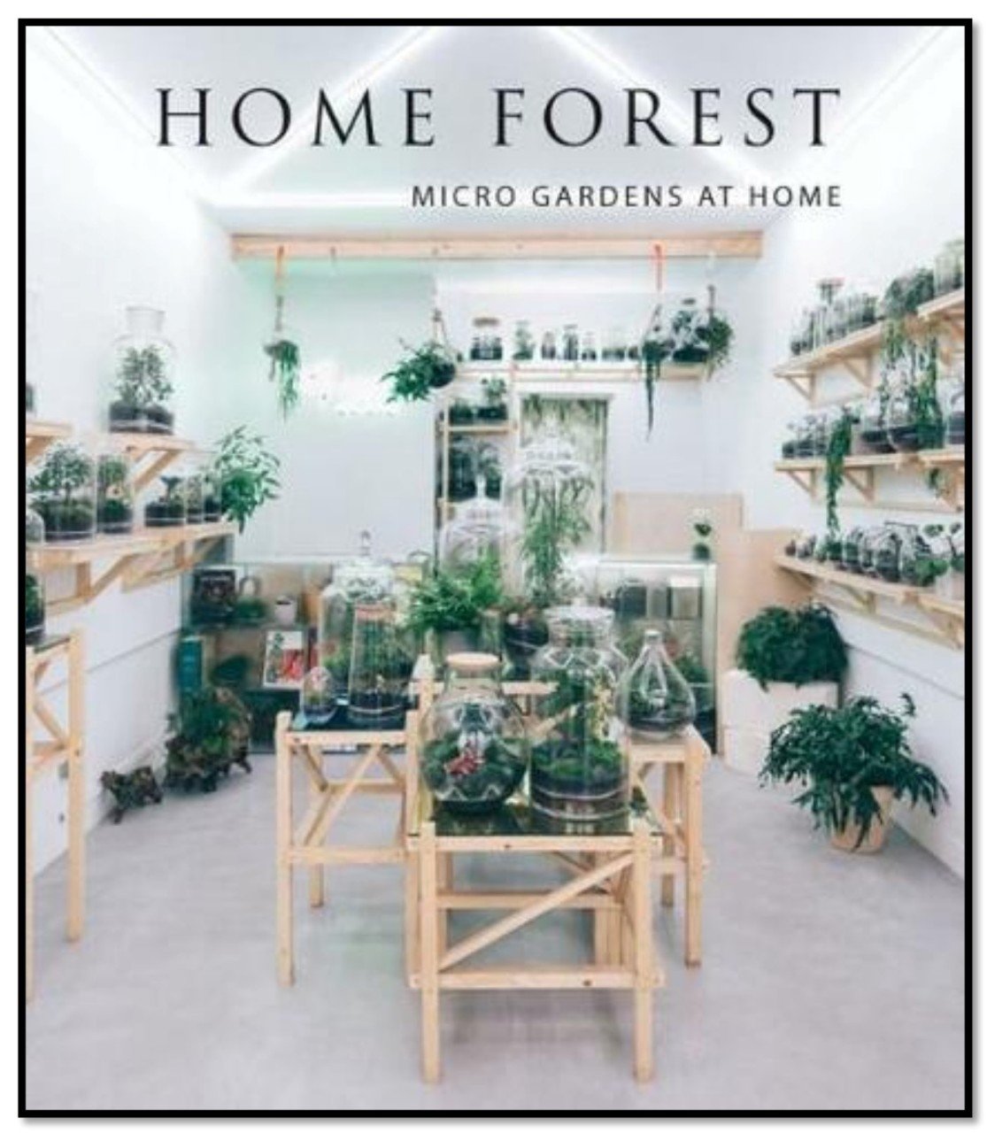 Home Forest; Micro Gardens at Home (Evlerde Küçük Orman Tasarımları)