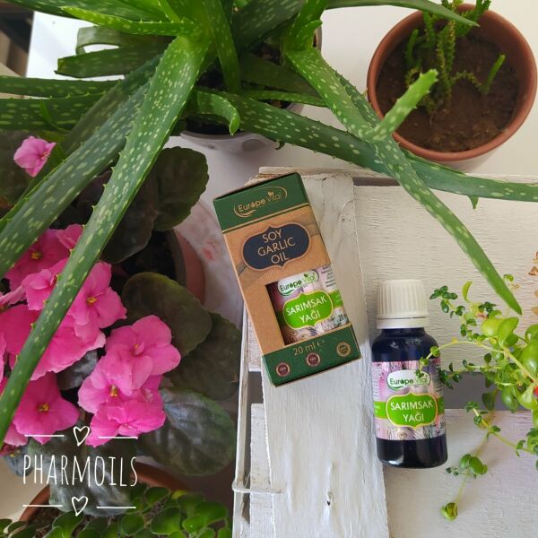 Sarımsak Yağı 20 ml