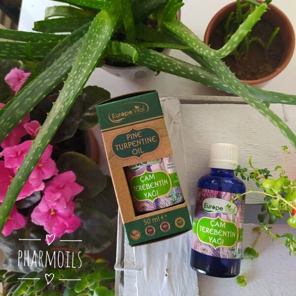 Çam Terebentin Yağı  50 ml