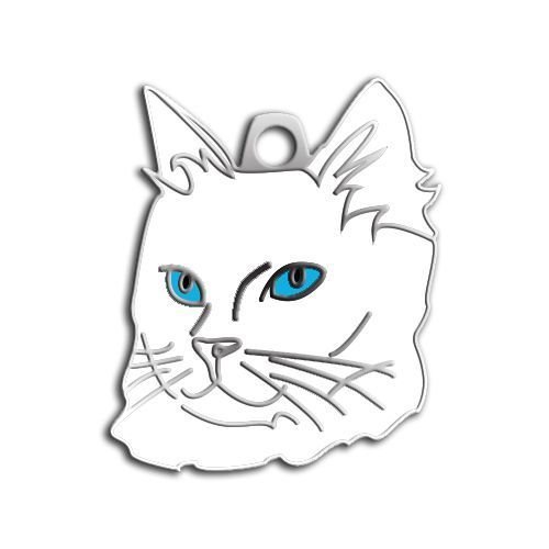 Mavi  Gözlü Van Kedisi Kedi Künyesi