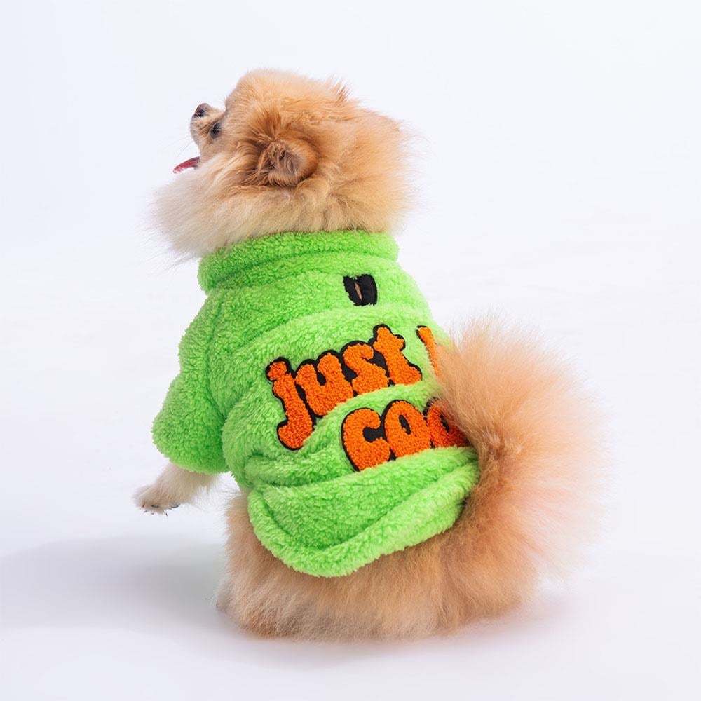 PawStar Yeşil Just Be Cool Küçük ve Orta Irk Sweat