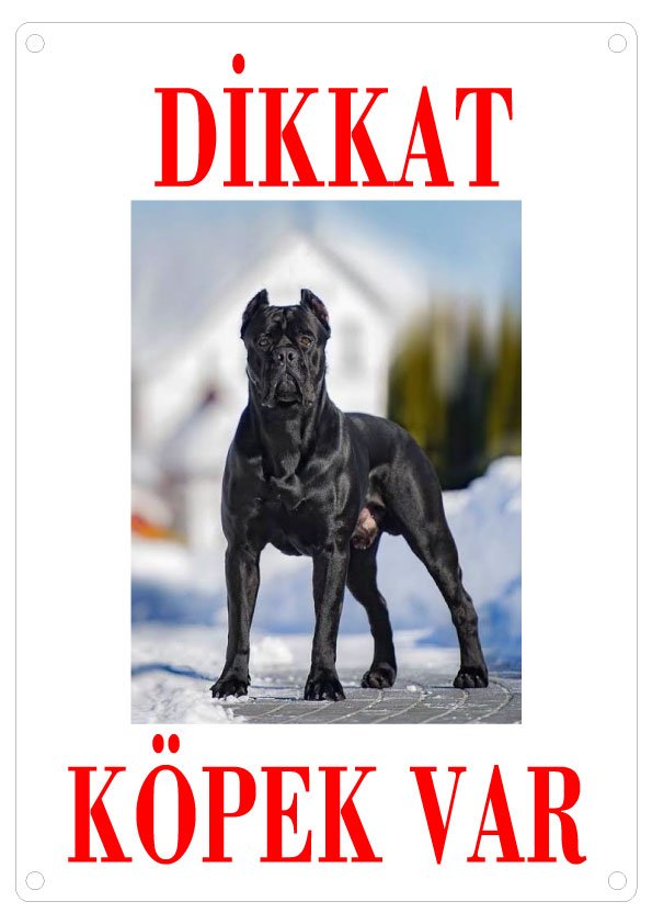 Dikkat Köpek Var Uyarı Levhası (Renkli Cane Corsa)