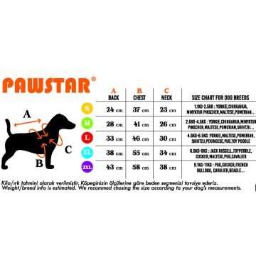 PawStar Neon Turuncu Railway Küçük ve Orta Irk Yelek