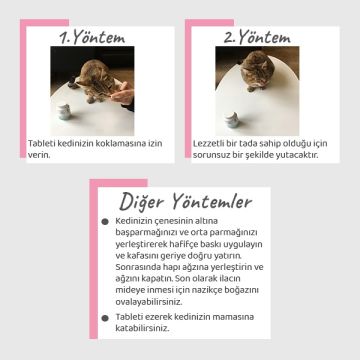 Vet's Plus Kitten Multivitamin Yavru Kediler için Sağlıklı Gelişimi Destekleyici Tablet (100'lü)