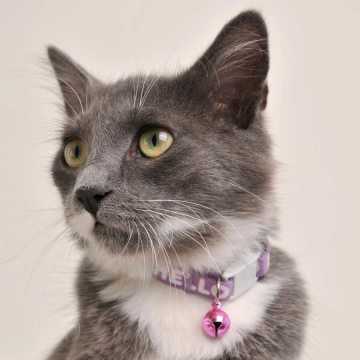 Hello Kitty Lila Beyaz Desenli Güvenlik Kilitli Ayarlanabilir Yumuşak Doku Kedi Boyun Tasması 22-30 cm