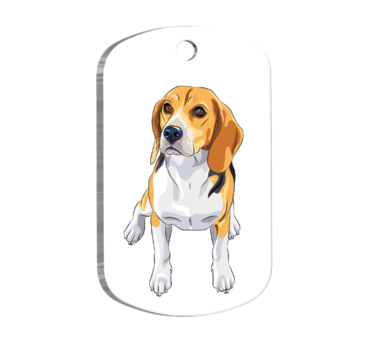 Beagle Breed Resimli Köpek Künyesi