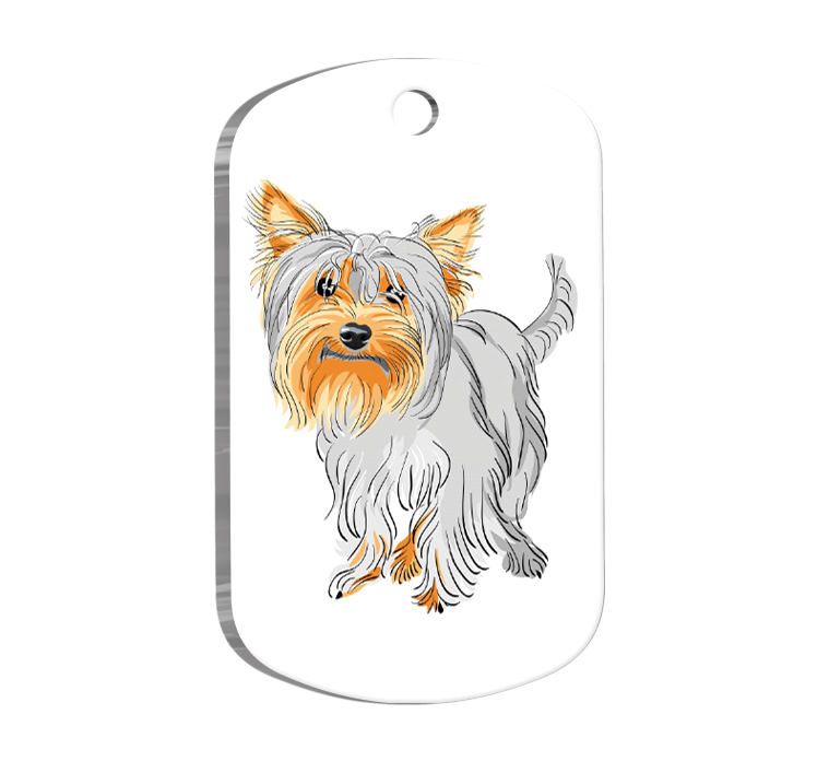 Yorkshire Terrier Resimli Köpek Künyesi