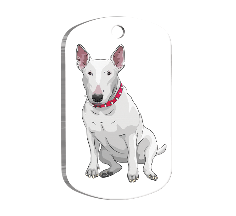 Bull Terrier Resimli Köpek Künyesi