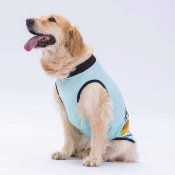 PawStar Mint Sunrise Büyük Irk T-Shirt