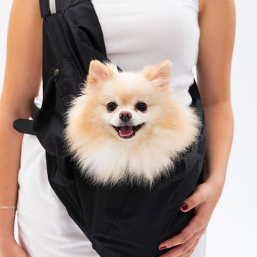 PawStar Siyah CrossBody Çanta