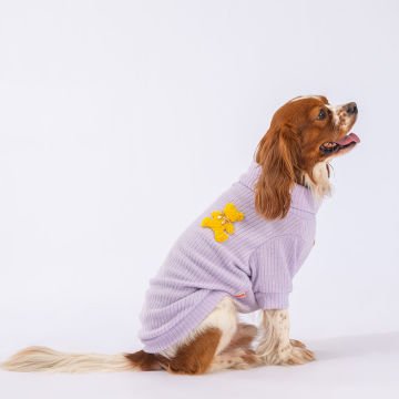 PawStar Lila Turtleneck Küçük ve Orta Irk Sweat