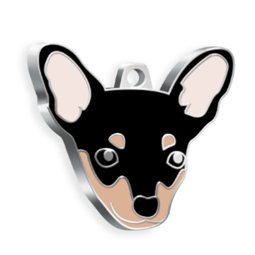 Pincher Köpek Künyesi (Siyah)