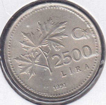 1991 Yılı 2500 Lira Çilaltı Çil
