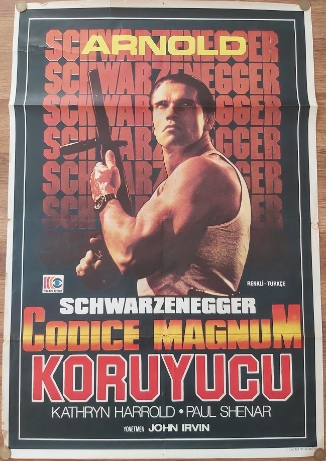 Yabancı - Arnold Schwarzengger - Koruyucu - Film Afişi