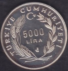 1991 Yılı 5000 Lira - Yunus Emre Sevgi Yılı