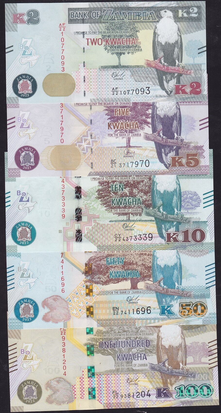 Zambia 5 Farklı Kağıt Para Seti Çil