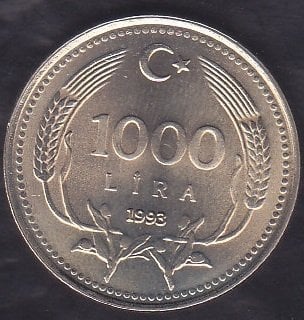 1993 YILI 1000 LİRA ÇİLALTI ÇİL