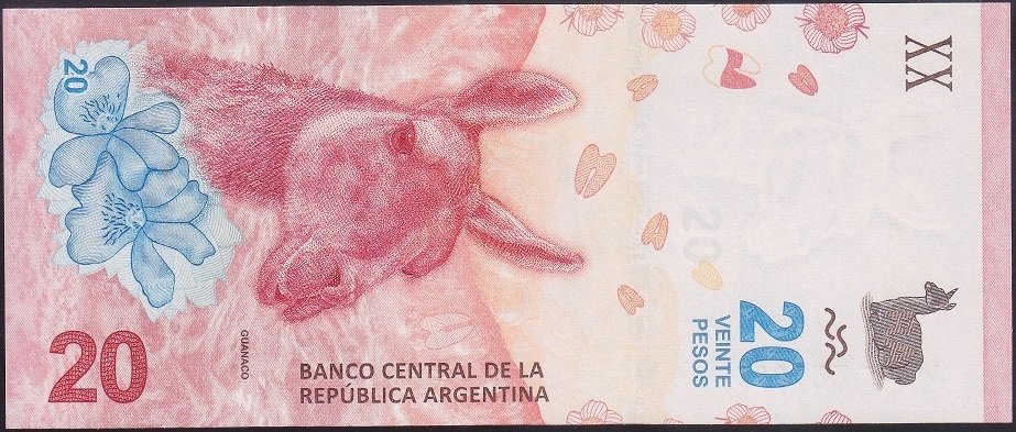 Arjantin 20 Pesos 2017 Çil Pick361