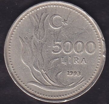 1993 Yılı 5000 Lira