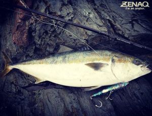 Zenaq Muthos DM 110HH Bait 335 cm. 45-180 g.