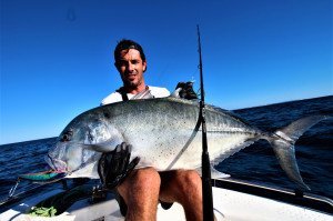 Zenaq Tobizo  TC83-150G for Tuna & Trevally Off Shore Casting Kamış  229 cm. Max. 180 g.