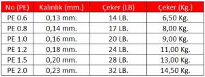 Linesystem Seabass Day Game X8 PE 1.2  0,18mm.  24Lb.  11,0kg. 300mt.