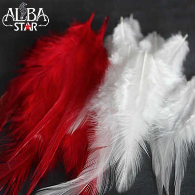 Albastar Saddle Hackle Tüy 32535