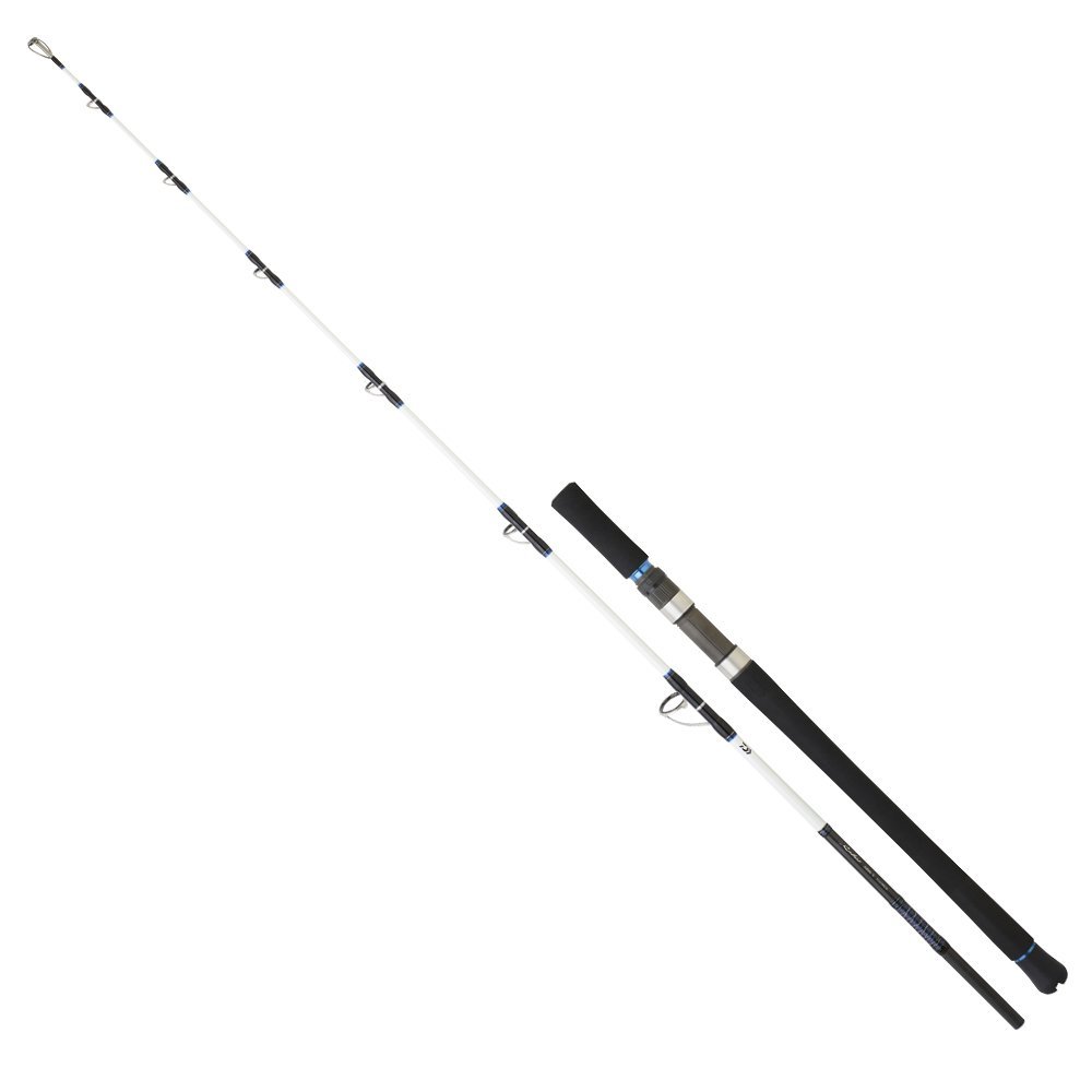 Daiwa Saltist Vertical Jig 1.85m,100-300gr 2p Olta Kamışı