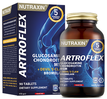 Nutraxin Artroflex 90 Tablet Devil's Claw