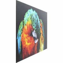 Tropical Parrot Cam Resim 120x80cm