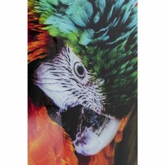 Tropical Parrot Cam Resim 120x80cm