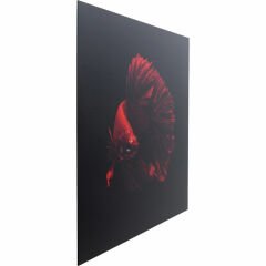 Fire Fish Cam Resim 100x100cm
