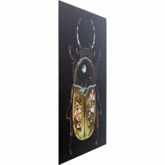 Shiney Dung Beetle Cam Resim 80x120cm