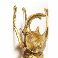 Atlas Beetle Gold Duvar Süsü