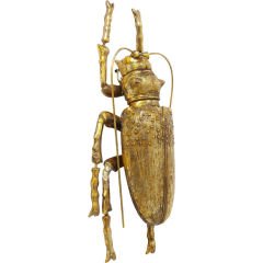 Longicorn Beetle Gold Duvar Süsü