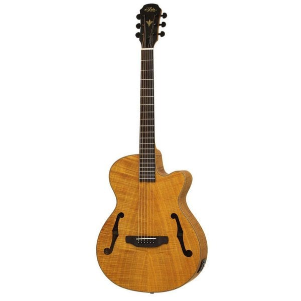 Aria FETF2STBR Akustik Gitar