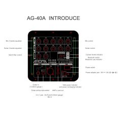 Aroma AG40A Akustik Gitar Amfisi