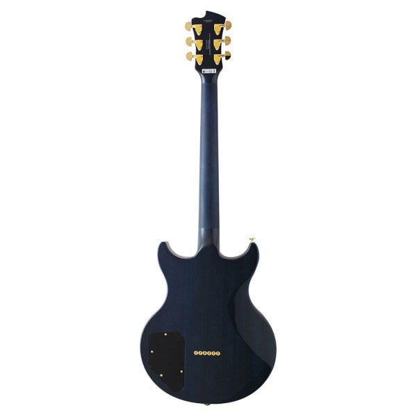 Fujigen Rise Elektro Gitar ERSFMRBBTQ