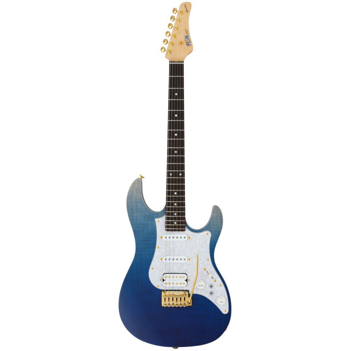 Fujigen Odyssey Elektro Gitar EOS-FM-R/NBG