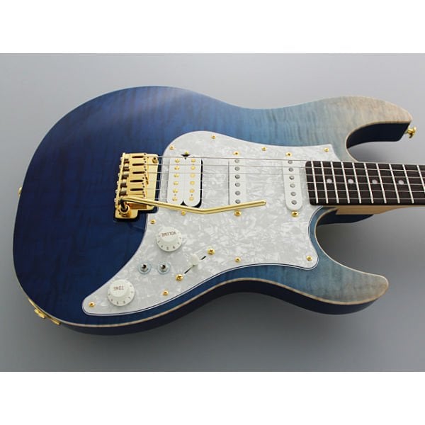 Fujigen Odyssey Elektro Gitar EOS-FM-R/NBG