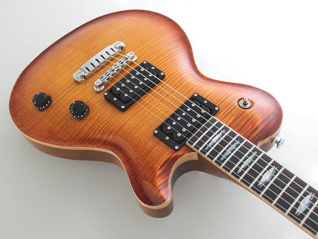 Fujigen Flame Elektro Gitar EFLFM/VV