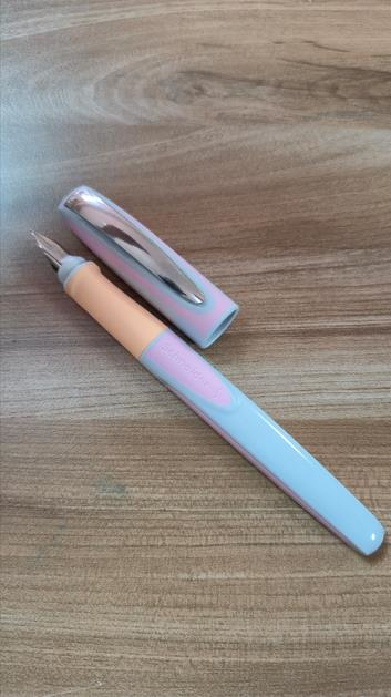 SCHNEIDER DOLMA KALEM RAY M FLORA 168211