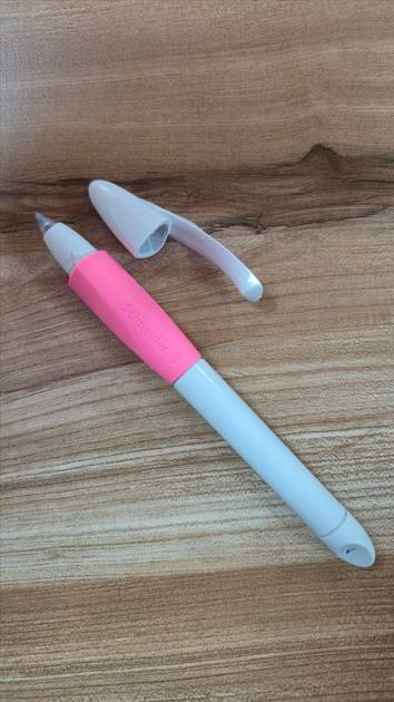 SCHNEIDER ROLLER KALEM TUPLU GRI/PEMBE 188339