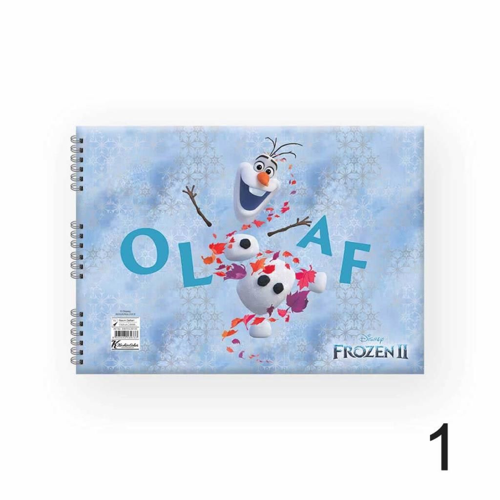 FROZEN DEFTER RESIM SPR 17x25 15YP.KESKIN (300115)