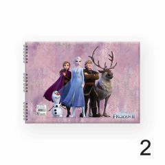 FROZEN DEFTER RESIM SPR 17x25 15YP.KESKIN (300115)