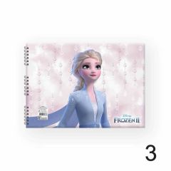 FROZEN DEFTER RESIM SPR 17x25 15YP.KESKIN (300115)