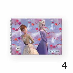 FROZEN DEFTER RESIM SPR 17x25 15YP.KESKIN (300115)